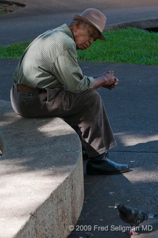 20091031_140931 D300f2x3.jpg - Gentleman looking at bird, Honolulu